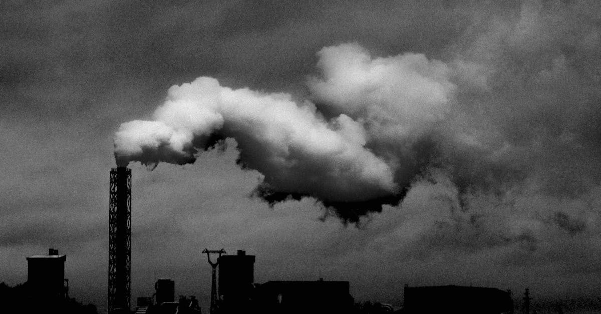 découvrez comment construire un avenir durable grâce à des initiatives écologiques, des technologies innovantes et des pratiques responsables pour préserver notre planète pour les générations futures.