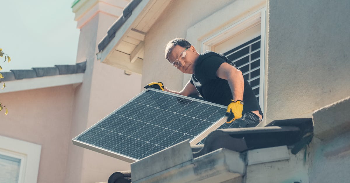 découvrez des solutions durables innovantes qui favorisent un avenir respectueux de l'environnement. engagez-vous pour un monde plus vert grâce à des stratégies écologiques efficaces et accessibles.