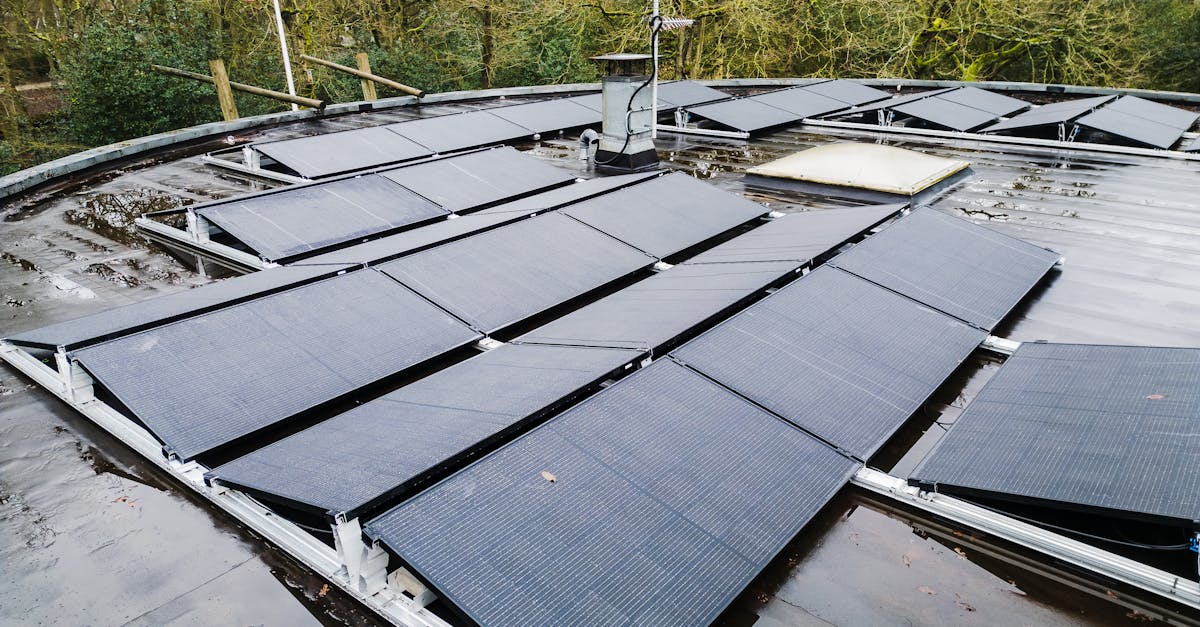 découvrez des solutions durables pour un avenir respectueux de l'environnement. explorez nos initiatives innovantes qui allient écologie et efficacité, et engagez-vous pour un monde plus vert.