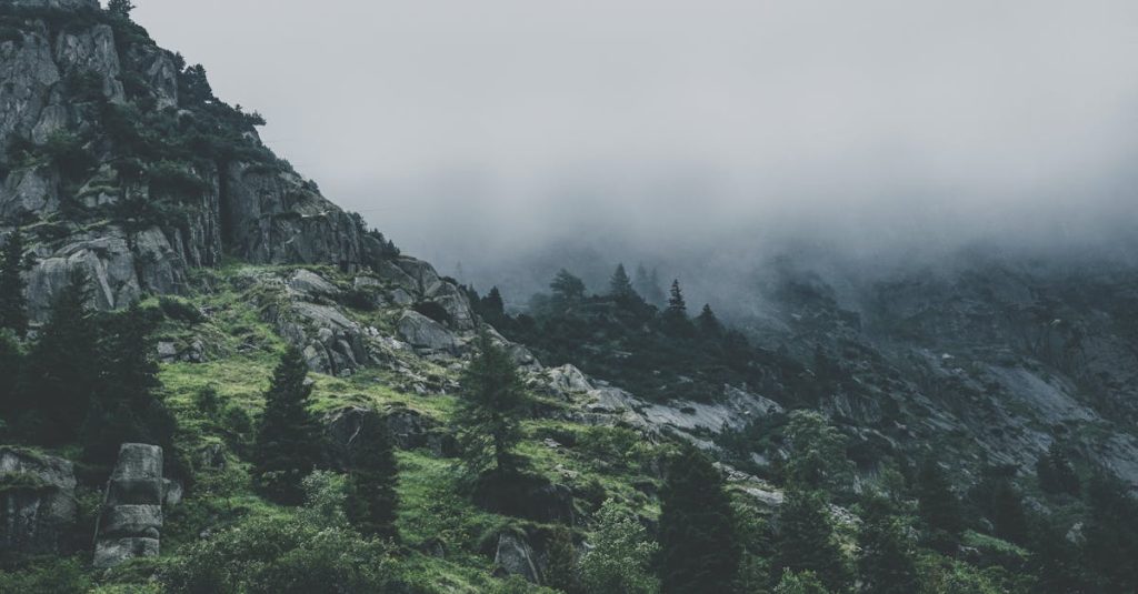 découvrez le concept d'élitisme écologique, une idéologie qui critique la séparation entre les valeurs environnementales et les inégalités sociales. explorez comment cette pensée influence les mouvements écologiques modernes et les débats sur la justice sociale.
