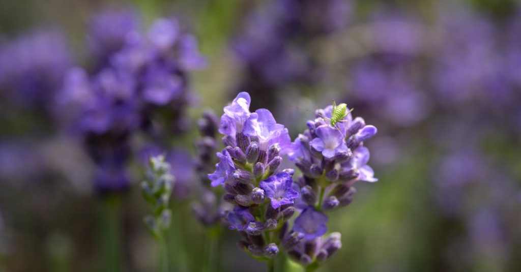 découvrez nos politiques environnementales visant à promouvoir la durabilité, la protection de la nature et l'engagement communautaire pour un avenir meilleur. rejoignez-nous dans notre lutte pour un environnement sain.