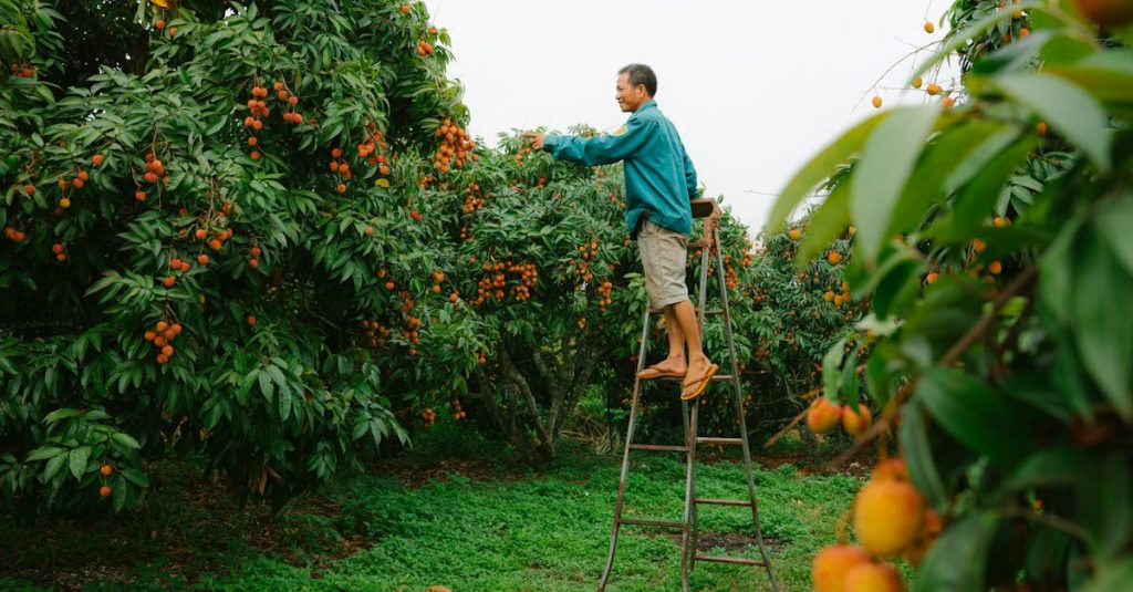découvrez l'importance de la plantation d'arbres pour l'environnement et la biodiversité. apprenez comment cet acte simple contribue à lutter contre le changement climatique, à améliorer la qualité de l'air et à préserver notre planète pour les générations futures.