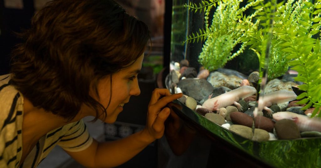 découvrez l'importance de l'éducation environnementale pour sensibiliser et préserver notre planète. apprenez comment adopter des pratiques durables et encourager les actions responsables envers l'environnement.
