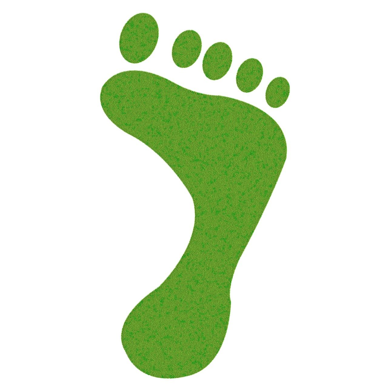 découvrez comment réduire votre empreinte carbone et adopter des pratiques durables pour préserver notre planète. explorez des conseils pratiques et des outils pour minimiser votre impact environnemental.