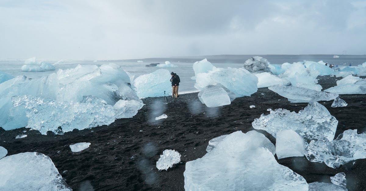 découvrez comment le changement climatique affecte notre planète, ses conséquences sur l'environnement et les actions à entreprendre pour un avenir durable. informez-vous sur les causes, les impacts et les solutions pour lutter contre ce défi mondial.