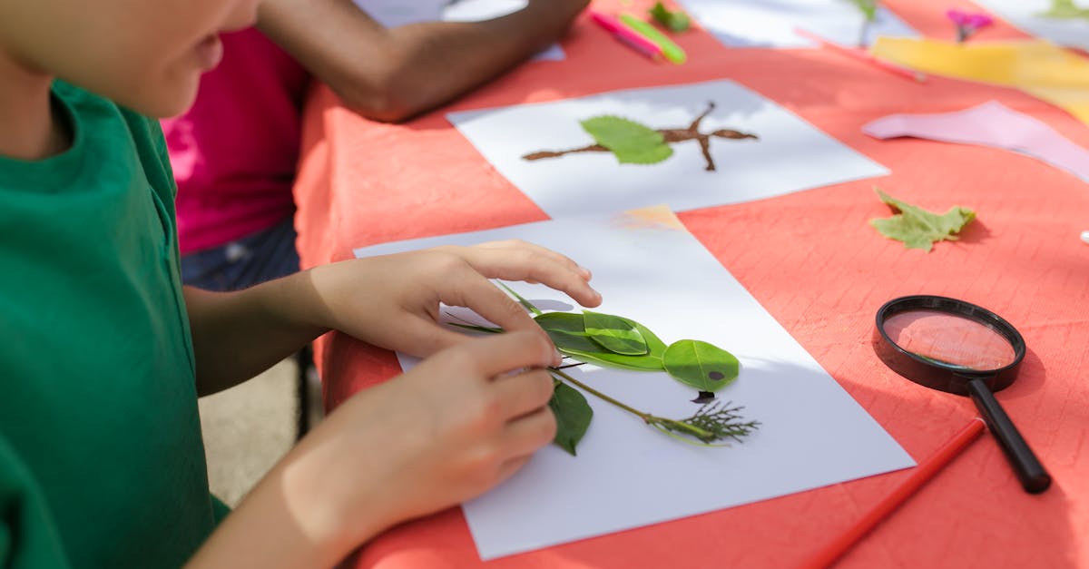 découvrez l'importance de l'éducation environnementale pour sensibiliser aux enjeux écologiques, promouvoir des comportements durables et préparer les générations futures à préserver notre planète.