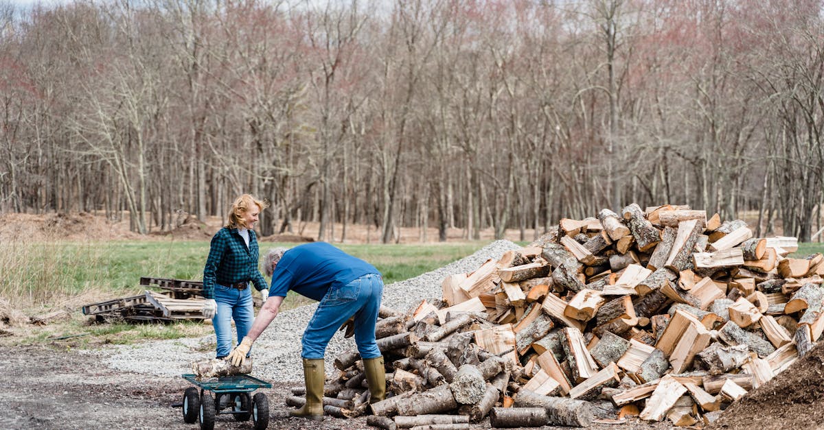 découvrez les meilleures pratiques en gestion des ressources naturelles pour préserver l'environnement et promouvoir un développement durable. apprenez à optimiser l'utilisation des ressources tout en respectant les écosystèmes. rejoignez-nous pour une approche innovante et responsable de la gestion des ressources.
