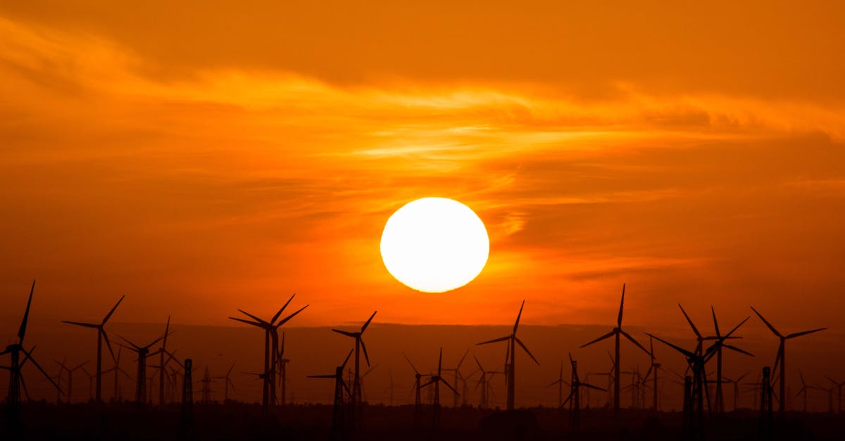 découvrez les avantages des énergies renouvelables, leur impact sur l'environnement et comment elles contribuent à un avenir durable. apprenez-en davantage sur les différentes sources d'énergie renouvelable, telles que l'éolien, le solaire, et l'hydraulique.