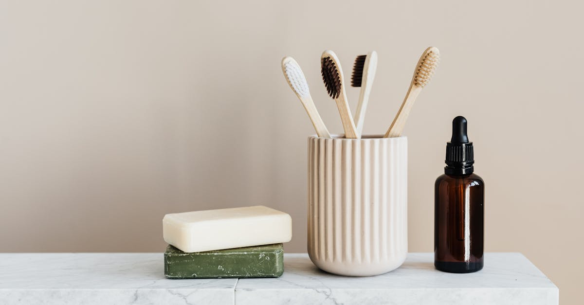 découvrez des pratiques durables et des solutions écologiques pour un mode de vie respectueux de l'environnement. apprenez à intégrer la durabilité dans votre quotidien et à faire une différence pour notre planète.