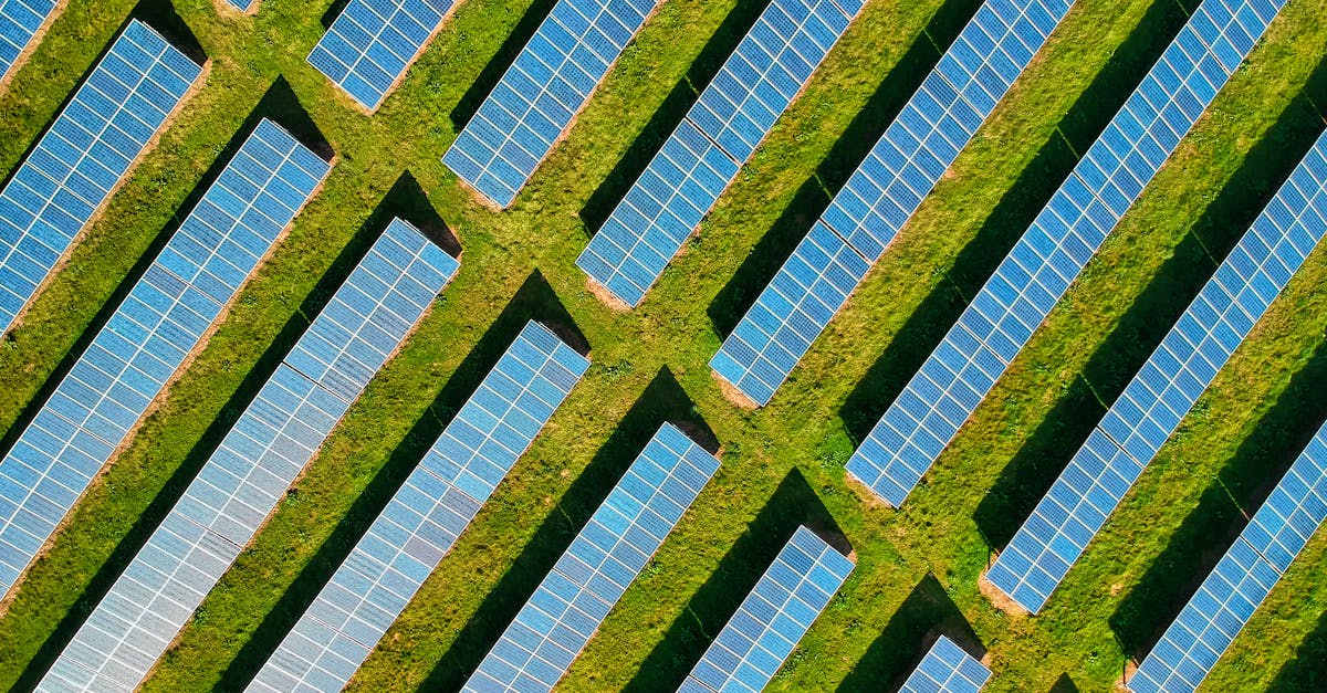 découvrez comment le développement durable contribue à un avenir plus vert en harmonisant croissance économique, protection de l'environnement et justice sociale. explorez des stratégies innovantes et des initiatives inspirantes pour un monde durable.
