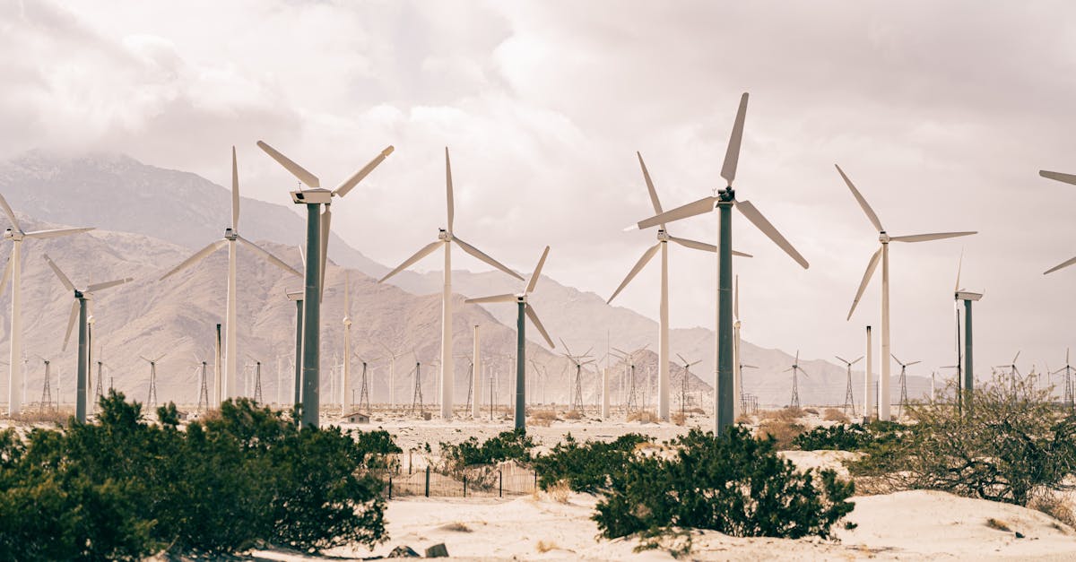découvrez les enjeux et les pratiques du développement durable pour un avenir respectueux de l'environnement. explorez les solutions innovantes et les stratégies pour promouvoir une croissance économique équilibrée tout en préservant nos ressources naturelles.
