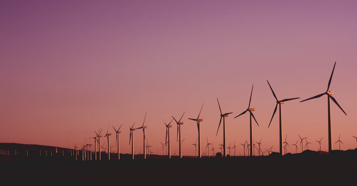 découvrez comment le développement durable transforme nos sociétés en harmonisant croissance économique, inclusion sociale et préservation de l'environnement. explorez des stratégies innovantes pour un avenir plus responsable et écoresponsable.