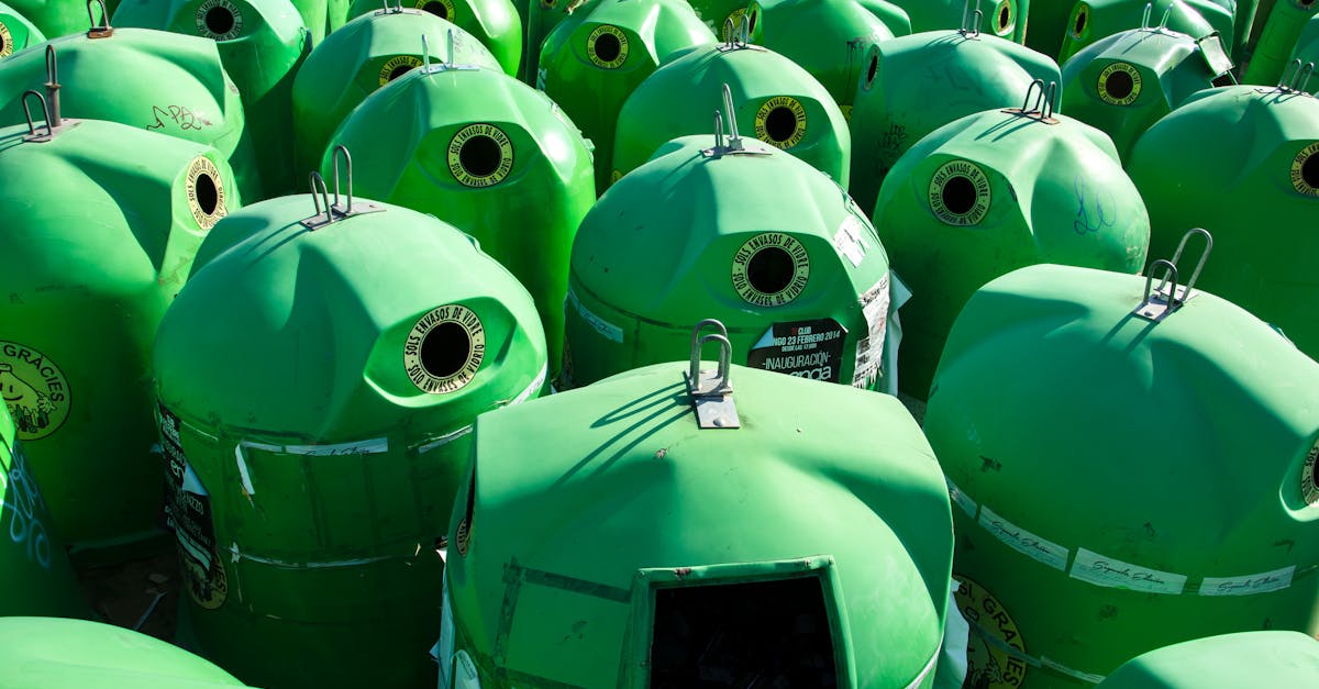 découvrez les collectifs écologiques, des initiatives collaboratives visant à promouvoir des modes de vie durables et respectueux de l'environnement. rejoignez une communauté engagée pour protéger notre planète tout en partageant des solutions innovantes et des pratiques éco-responsables.