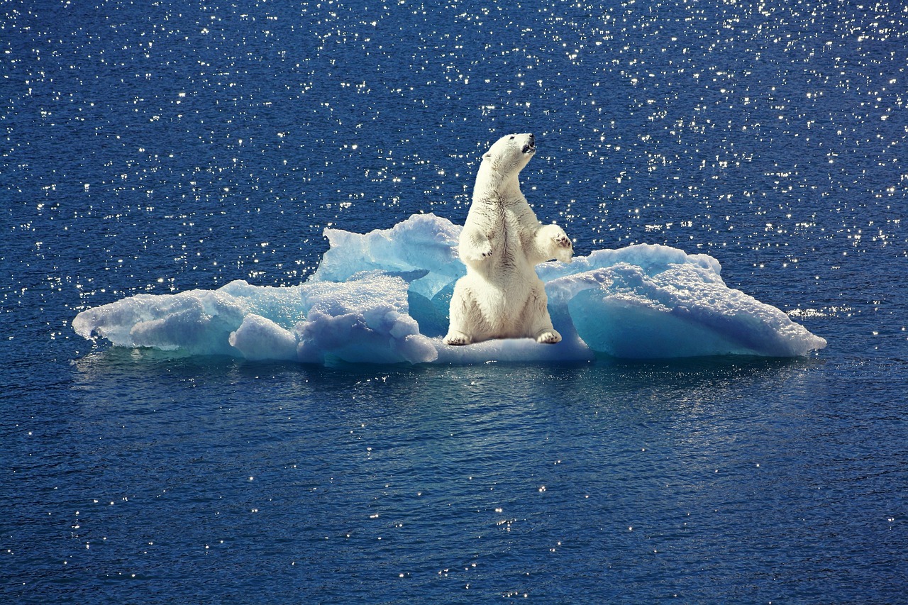 agissez maintenant pour lutter contre le changement climatique ! découvrez des solutions concrètes et des initiatives inspirantes pour protéger notre planète et assurer un avenir durable.