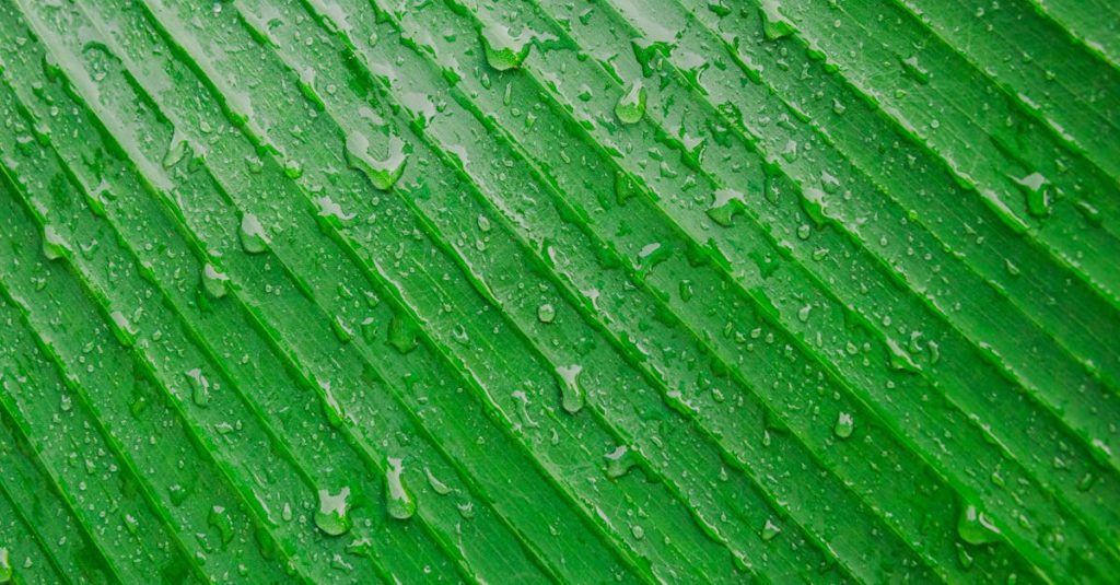 découvrez les incitations environnementales qui encouragent les entreprises et les particuliers à adopter des pratiques durables. explorez les programmes, subventions et avantages fiscaux qui soutiennent la protection de l'environnement tout en favorisant une économie verte.