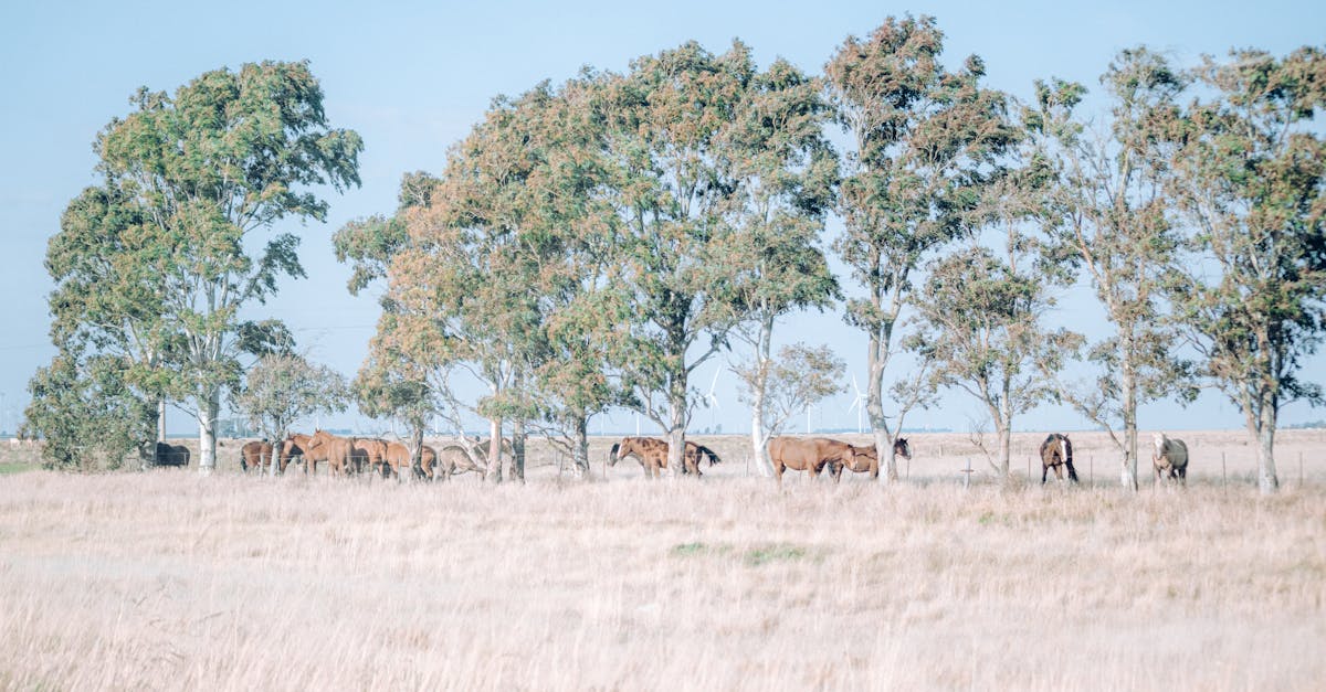 découvrez l'évaluation des coûts environnementaux, une méthode essentielle pour mesurer l'impact économique des activités sur notre écosystème. apprenez à intégrer cette approche durable dans vos stratégies d'entreprise pour un avenir plus vert.