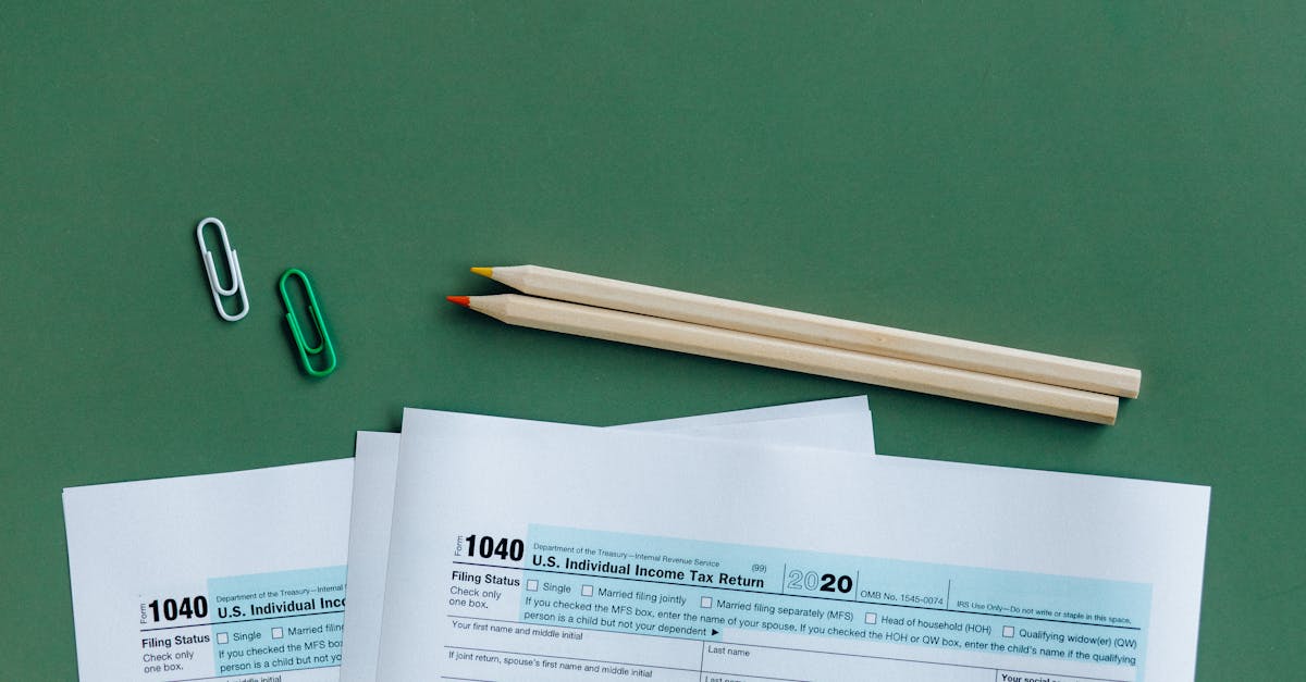 découvrez comment les ajustements fiscaux verts peuvent transformer votre entreprise en favorisant des pratiques durables tout en optimisant vos avantages fiscaux. informez-vous sur les incitations et les stratégies pour alléger votre empreinte carbone.