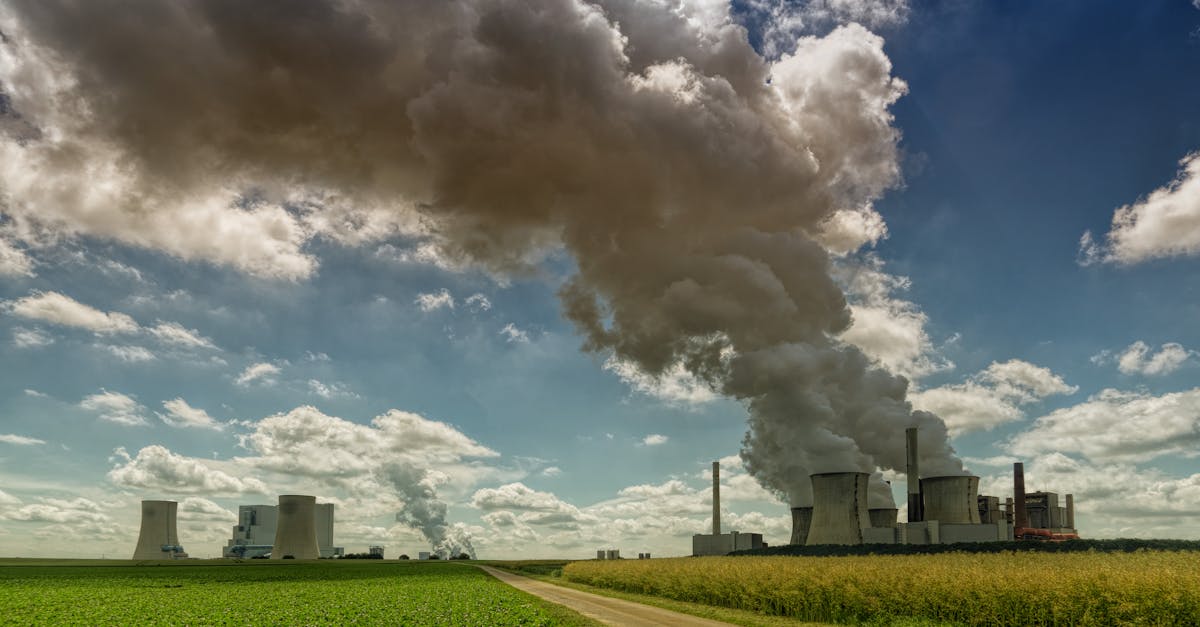 découvrez les enjeux de la pollution, ses impacts sur l'environnement et la santé, ainsi que les solutions pour un avenir plus propre et durable.