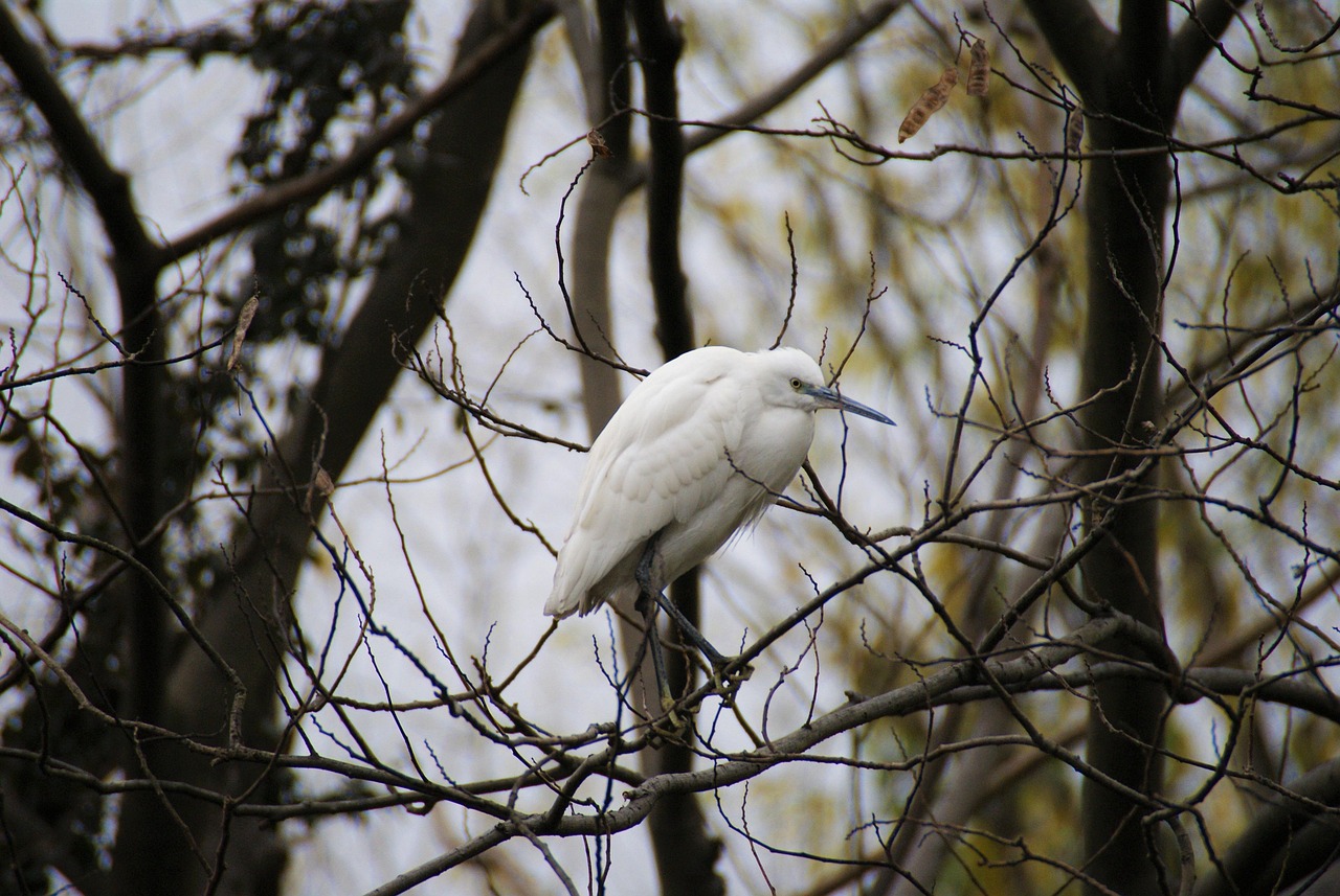 découvrez comment l'écologie digitale contribue à réduire l'empreinte environnementale des technologies numériques tout en favorisant une utilisation responsable et durable d'internet et des outils digitaux.
