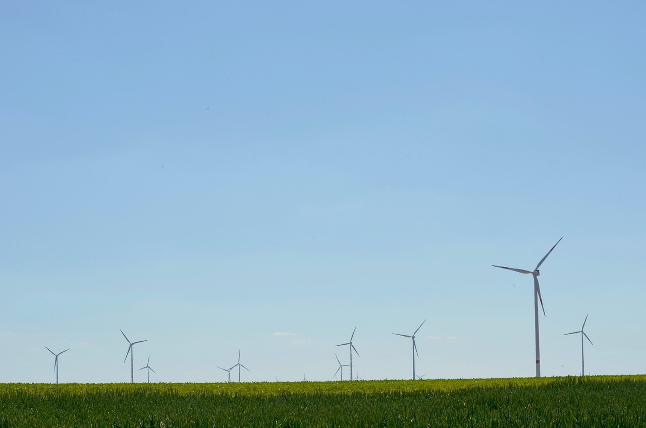 découvrez les enjeux et les solutions de la transition écologique : réduire l'impact environnemental, adopter des pratiques durables et construire un avenir respectueux de la planète.