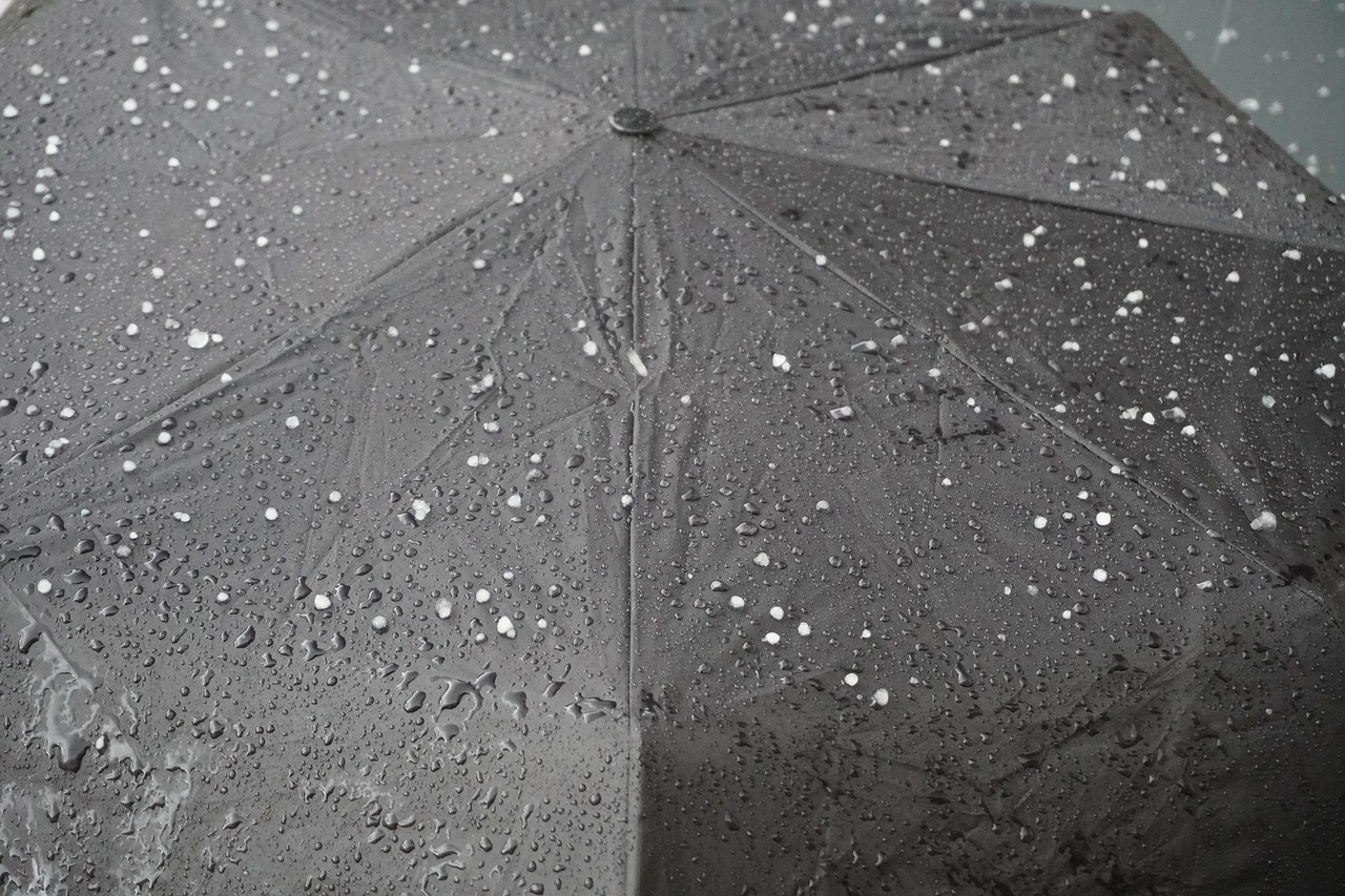 découvrez des stratégies efficaces pour lutter contre le changement climatique et promouvoir un avenir durable grâce à l'action climatique.