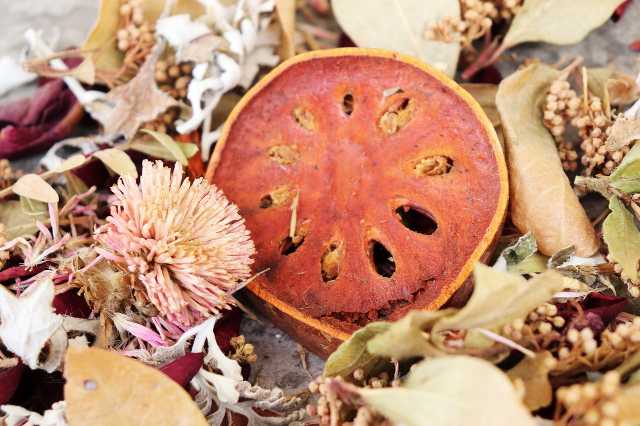 d&eacute;couvrez notre ordinateur portable &eacute;cologique alliant performance et respect de l'environnement pour un usage responsable et durable.